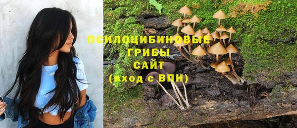 дистиллят марихуана Заводоуковск