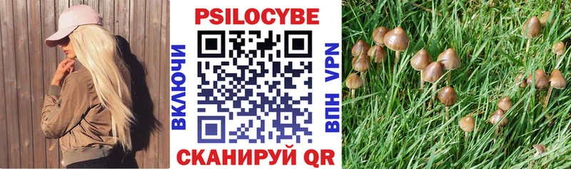 Купить закладки  Унеча  Галлюциногенные грибы мухоморы 